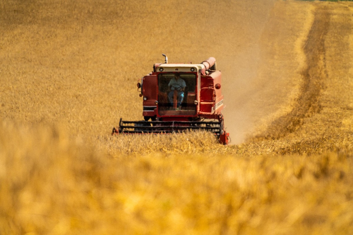 Farmers harvest Calypso barley in Lee County, Virginia.