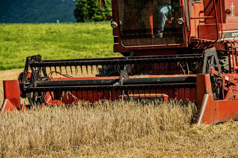 Harvesting Calypso barley in Lee County, Virginia.