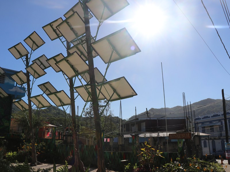 Casa Pueblo’s “Bosque Solar.”