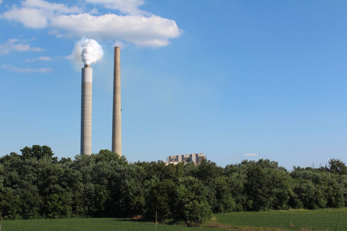 Two smokestacks rise above a row of trees.