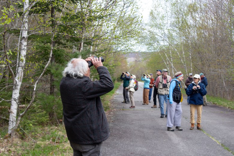 Birders use binoculars to look for spring warblers on Sears Island as part of a trip organized by the Midcoast chapter of Maine Audubon.